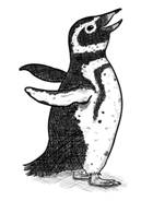 https://penguinblogposts.files.wordpress.com/2015/10/illustration-from-the-penguin-lessons-for-penguin-blog.jpg?w=229&h=300