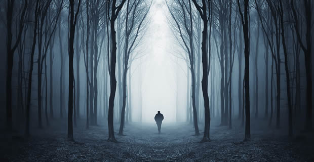 http://newdimensions.org/wp-content/uploads/2015/10/dark-woods.jpg