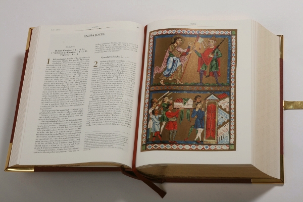 Obálka titulu BIBLIA  
