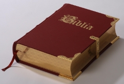 Obálka titulu BIBLIA  