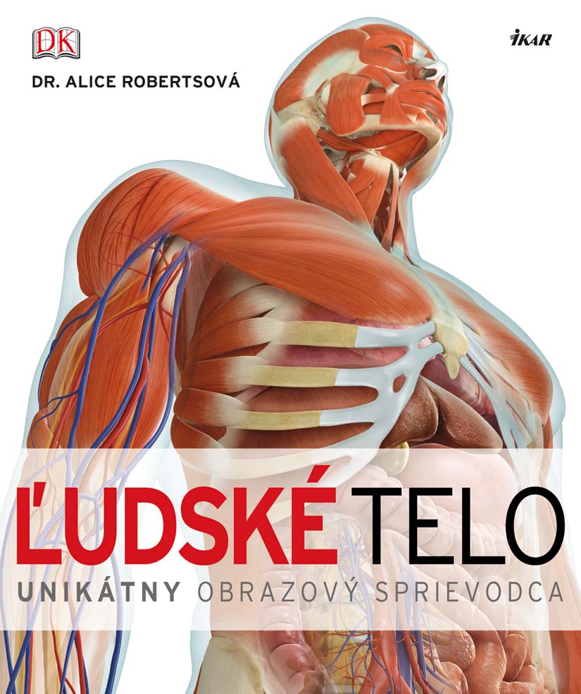 Ľudské telo