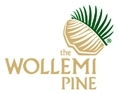 WOLLEMI PINE