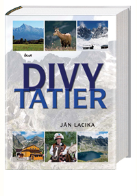 Divy Tatier